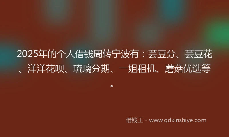 2025年的个人借钱周转宁波有：芸豆分、芸豆花、洋洋花呗、琉璃分期、一姐租机、蘑菇优选等。