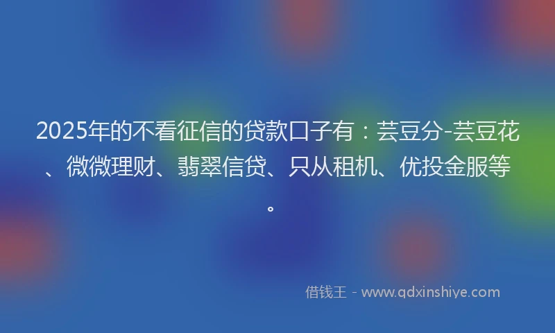 2025年的不看征信的贷款口子有：芸豆分-芸豆花、微微理财、翡翠信贷、只从租机、优投金服等。