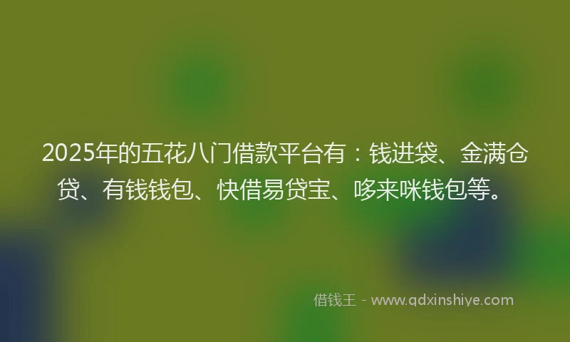 2025年的五花八门借款平台有：钱进袋、金满仓贷、有钱钱包、快借易贷宝、哆来咪钱包等。