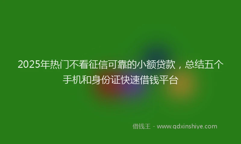 2025年热门不看征信可靠的小额贷款，总结五个手机和身份证快速借钱平台