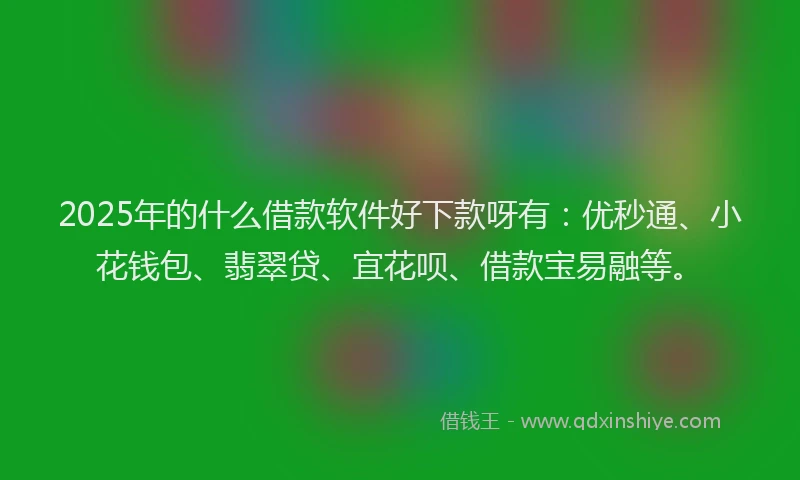 2025年的什么借款软件好下款呀有：优秒通、小花钱包、翡翠贷、宜花呗、借款宝易融等。