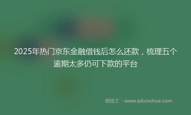 2025年热门京东金融借钱后怎么还款，梳理五个逾期太多仍可下款的平台