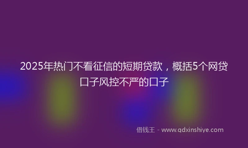 2025年热门不看征信的短期贷款，概括5个网贷口子风控不严的口子