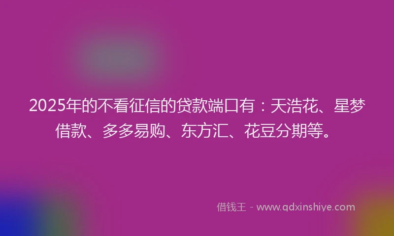 2025年的不看征信的贷款端口有：天浩花、星梦借款、多多易购、东方汇、花豆分期等。