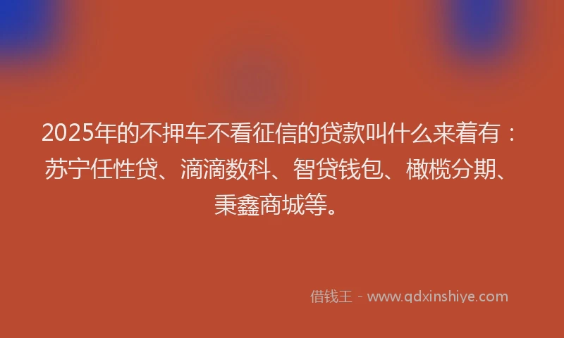 2025年的不押车不看征信的贷款叫什么来着有：苏宁任性贷、滴滴数科、智贷钱包、橄榄分期、秉鑫商城等。