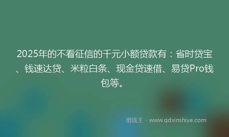 2025年的不看征信的千元小额贷款有：省时贷宝、钱速达贷、米粒白条、现金贷速借、易贷Pro钱包等。