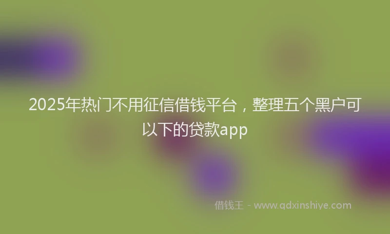 2025年热门不用征信借钱平台，整理五个黑户可以下的贷款app