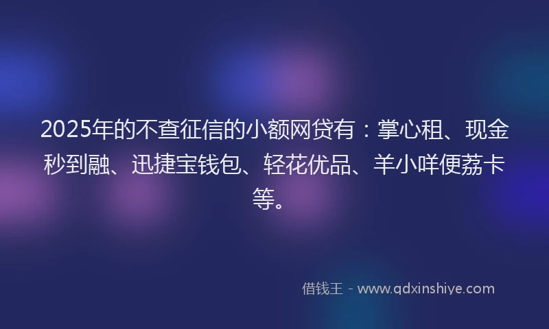 2025年的不查征信的小额网贷有：掌心租、现金秒到融、迅捷宝钱包、轻花优品、羊小咩便荔卡等。