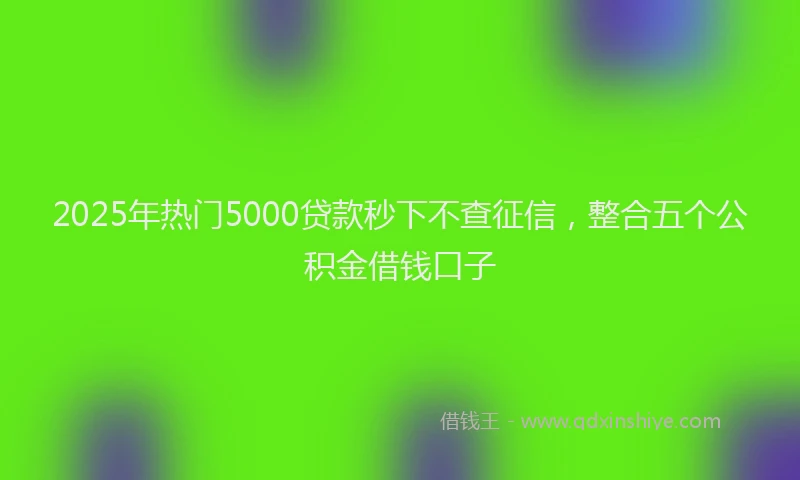 2025年热门5000贷款秒下不查征信，整合五个公积金借钱口子