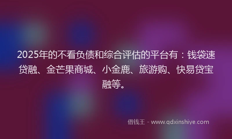 2025年的不看负债和综合评估的平台有：钱袋速贷融、金芒果商城、小金鹿、旅游购、快易贷宝融等。