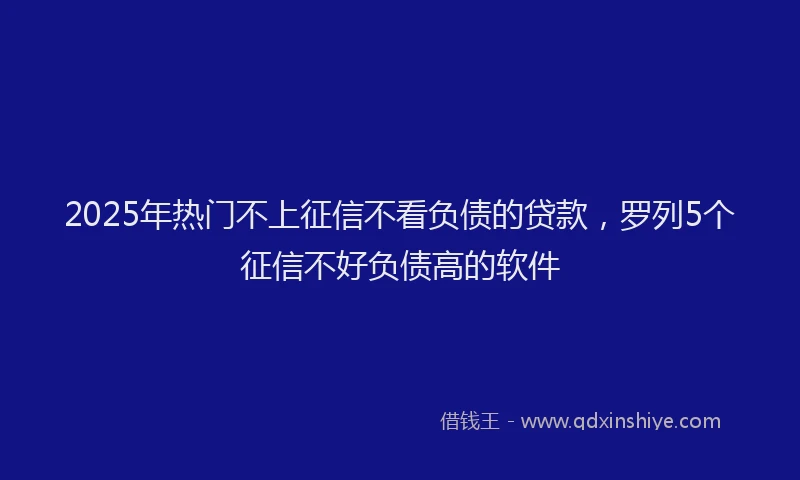 2025年热门不上征信不看负债的贷款，罗列5个征信不好负债高的软件