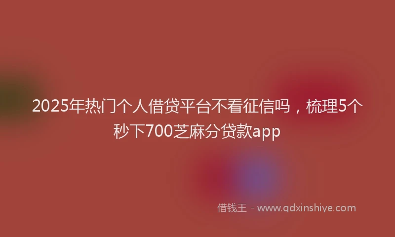 2025年热门个人借贷平台不看征信吗，梳理5个秒下700芝麻分贷款app