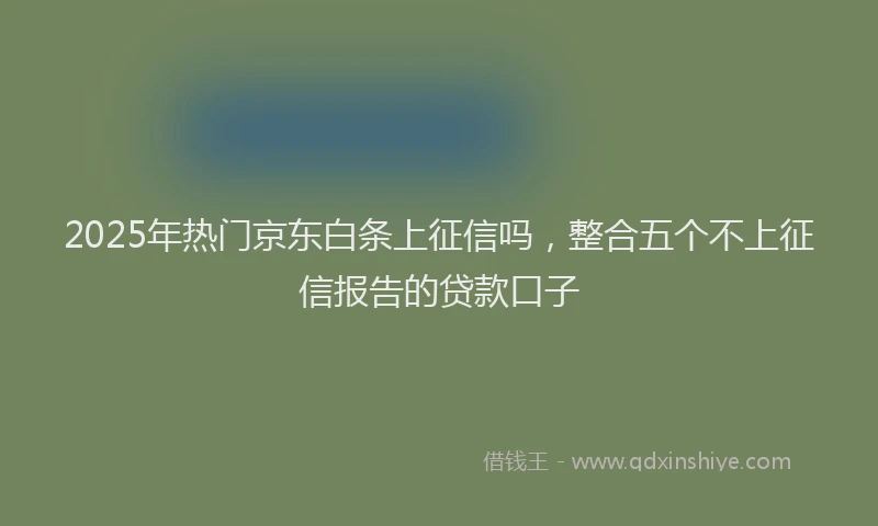 2025年热门京东白条上征信吗，整合五个不上征信报告的贷款口子