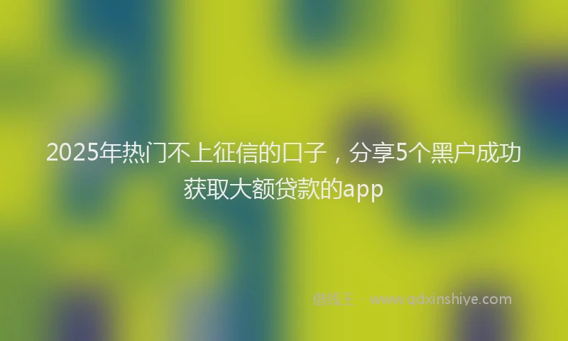 2025年热门不上征信的口子，分享5个黑户成功获取大额贷款的app