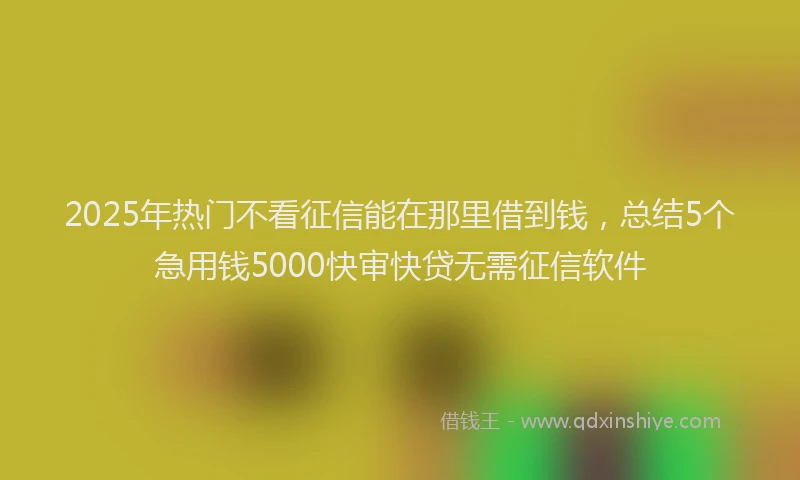 2025年热门不看征信能在那里借到钱，总结5个急用钱5000快审快贷无需征信软件