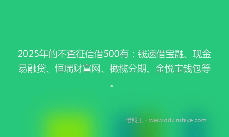 2025年的不查征信借500有：钱速借宝融、现金易融贷、恒瑞财富网、橄榄分期、金悦宝钱包等。