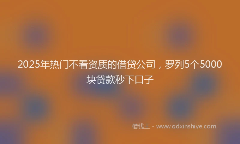 2025年热门不看资质的借贷公司，罗列5个5000块贷款秒下口子