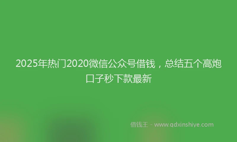 2025年热门2020微信公众号借钱，总结五个高炮口子秒下款最新