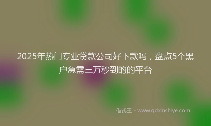 2025年热门专业贷款公司好下款吗，盘点5个黑户急需三万秒到的的平台