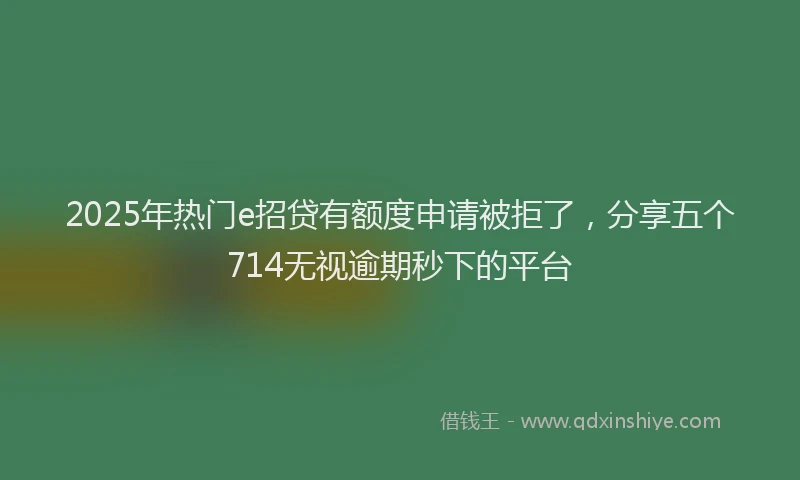 2025年热门e招贷有额度申请被拒了，分享五个714无视逾期秒下的平台