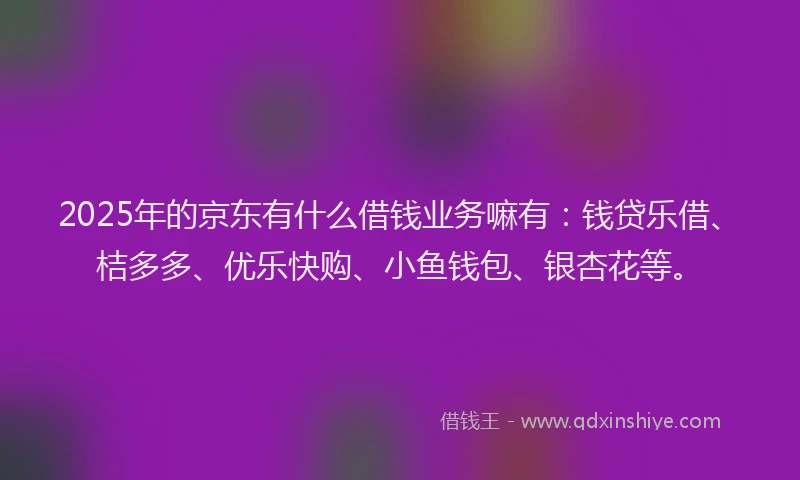 2025年的京东有什么借钱业务嘛有：钱贷乐借、桔多多、优乐快购、小鱼钱包、银杏花等。