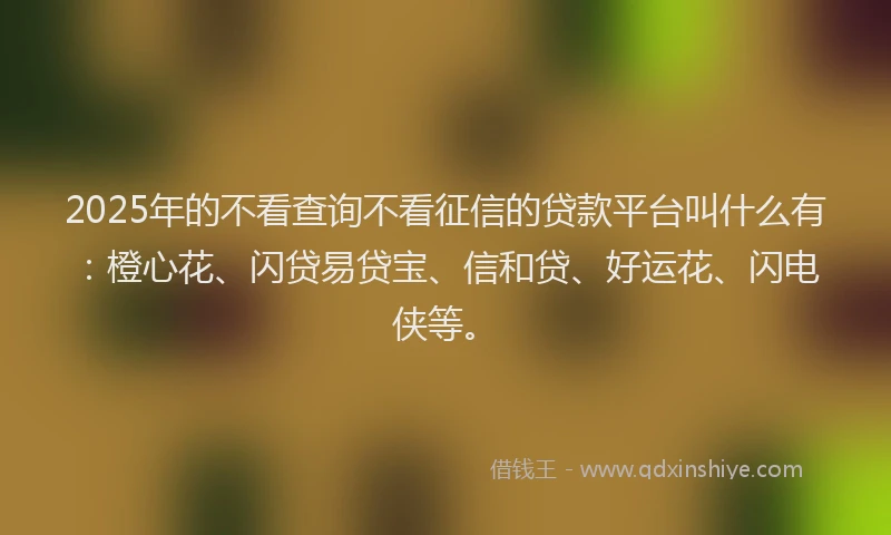 2025年的不看查询不看征信的贷款平台叫什么有：橙心花、闪贷易贷宝、信和贷、好运花、闪电侠等。