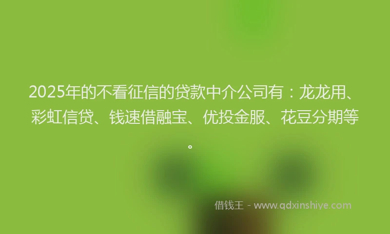 2025年的不看征信的贷款中介公司有：龙龙用、彩虹信贷、钱速借融宝、优投金服、花豆分期等。