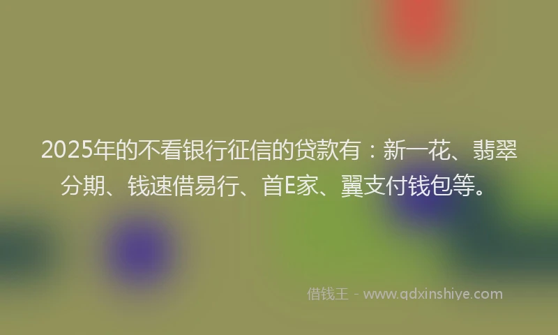 2025年的不看银行征信的贷款有：新一花、翡翠分期、钱速借易行、首E家、翼支付钱包等。