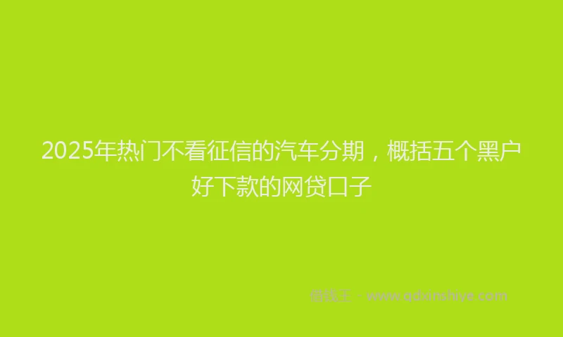 2025年热门不看征信的汽车分期，概括五个黑户好下款的网贷口子