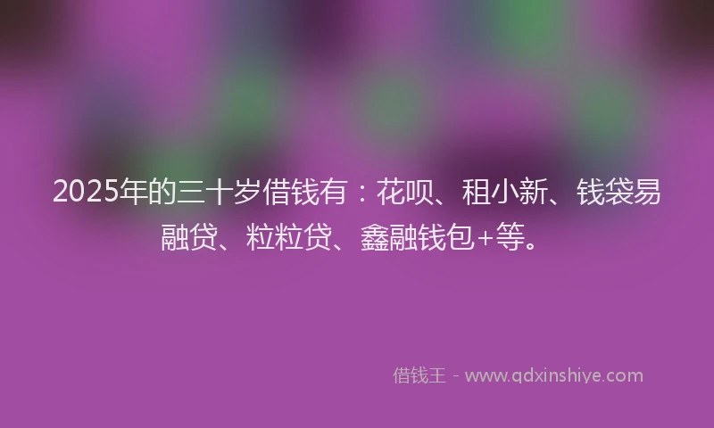 2025年的三十岁借钱有：花呗、租小新、钱袋易融贷、粒粒贷、鑫融钱包+等。