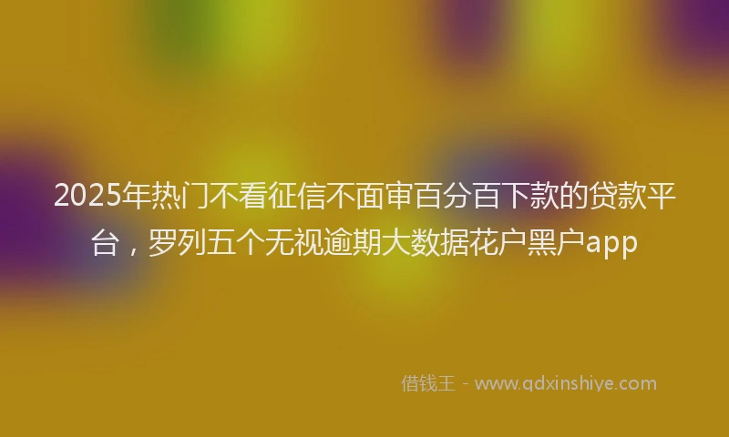 2025年热门不看征信不面审百分百下款的贷款平台，罗列五个无视逾期大数据花户黑户app