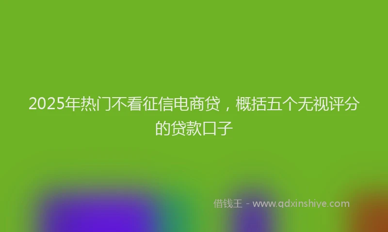 2025年热门不看征信电商贷，概括五个无视评分的贷款口子