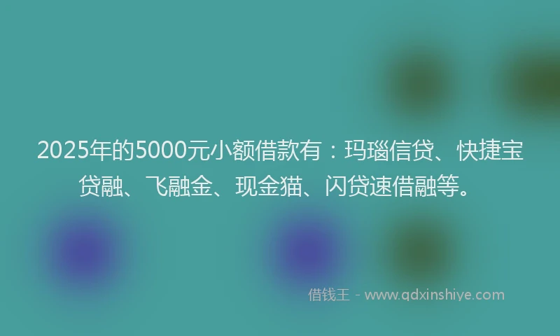 2025年的5000元小额借款有：玛瑙信贷、快捷宝贷融、飞融金、现金猫、闪贷速借融等。