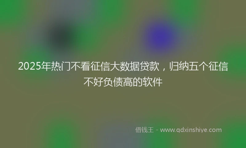2025年热门不看征信大数据贷款，归纳五个征信不好负债高的软件