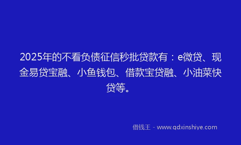 2025年的不看负债征信秒批贷款有：e微贷、现金易贷宝融、小鱼钱包、借款宝贷融、小油菜快贷等。
