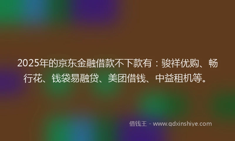 2025年的京东金融借款不下款有：骏祥优购、畅行花、钱袋易融贷、美团借钱、中益租机等。