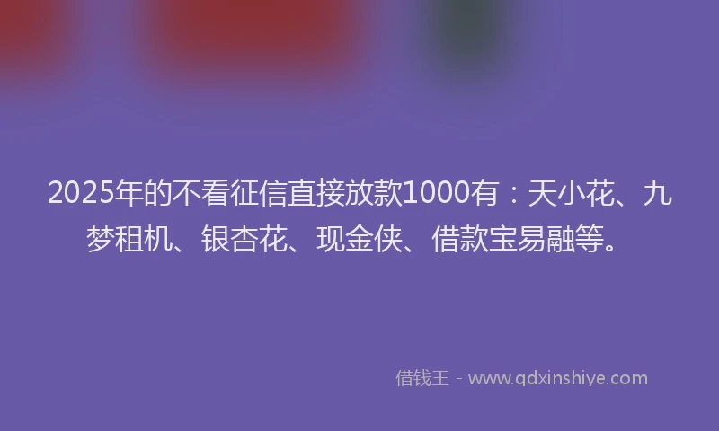2025年的不看征信直接放款1000有：天小花、九梦租机、银杏花、现金侠、借款宝易融等。