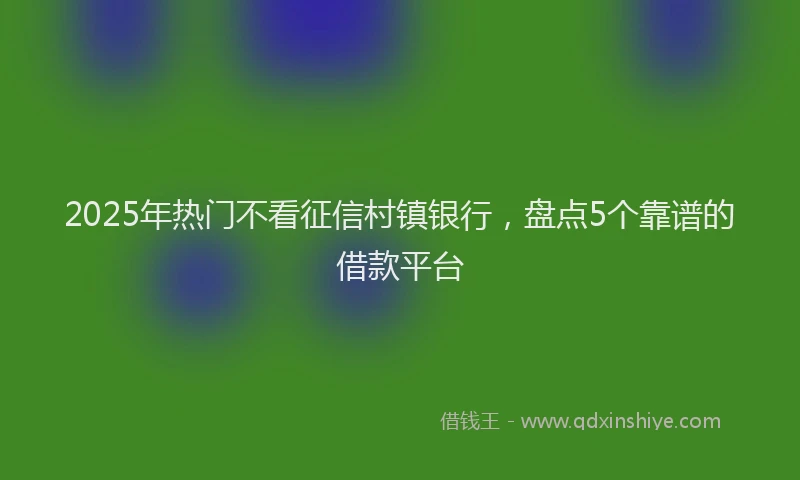 2025年热门不看征信村镇银行，盘点5个靠谱的借款平台