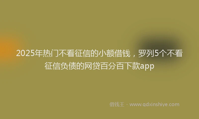 2025年热门不看征信的小额借钱，罗列5个不看征信负债的网贷百分百下款app