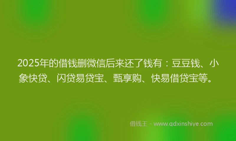 2025年的借钱删微信后来还了钱有：豆豆钱、小象快贷、闪贷易贷宝、甄享购、快易借贷宝等。