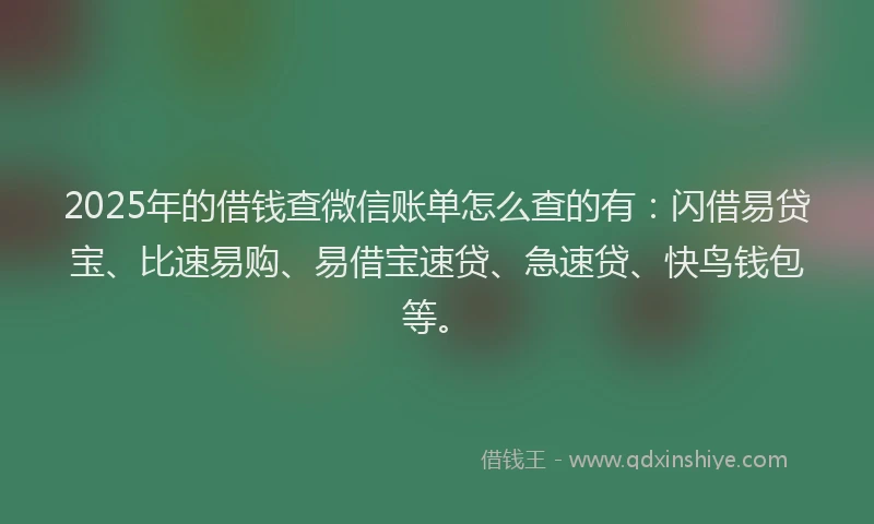 2025年的借钱查微信账单怎么查的有：闪借易贷宝、比速易购、易借宝速贷、急速贷、快鸟钱包等。