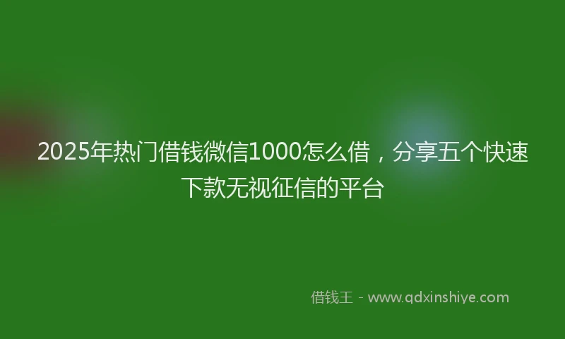 2025年热门借钱微信1000怎么借，分享五个快速下款无视征信的平台