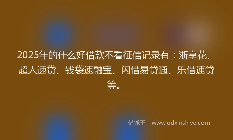 2025年的什么好借款不看征信记录有：浙享花、超人速贷、钱袋速融宝、闪借易贷通、乐借速贷等。