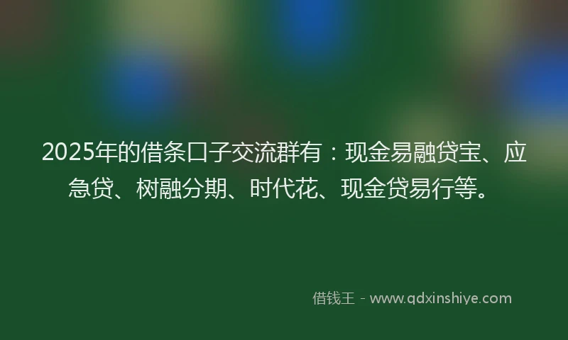 2025年的借条口子交流群有：现金易融贷宝、应急贷、树融分期、时代花、现金贷易行等。