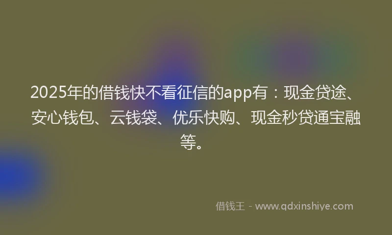 2025年的借钱快不看征信的app有：现金贷途、安心钱包、云钱袋、优乐快购、现金秒贷通宝融等。