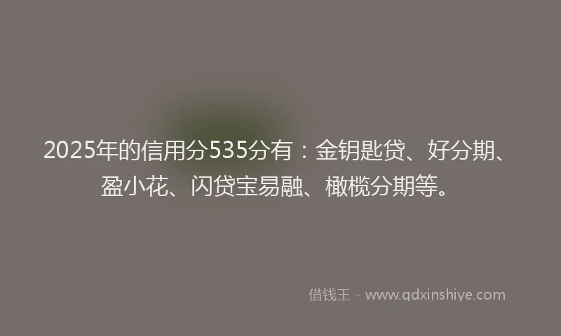 2025年的信用分535分有：金钥匙贷、好分期、盈小花、闪贷宝易融、橄榄分期等。