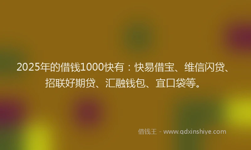 2025年的借钱1000快有：快易借宝、维信闪贷、招联好期贷、汇融钱包、宜口袋等。