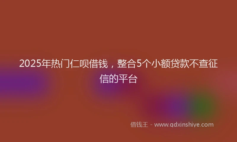 2025年热门仁呗借钱，整合5个小额贷款不查征信的平台