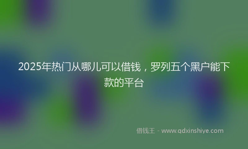 2025年热门从哪儿可以借钱，罗列五个黑户能下款的平台