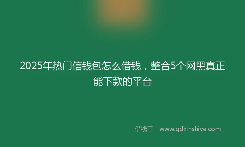 2025年热门信钱包怎么借钱，整合5个网黑真正能下款的平台